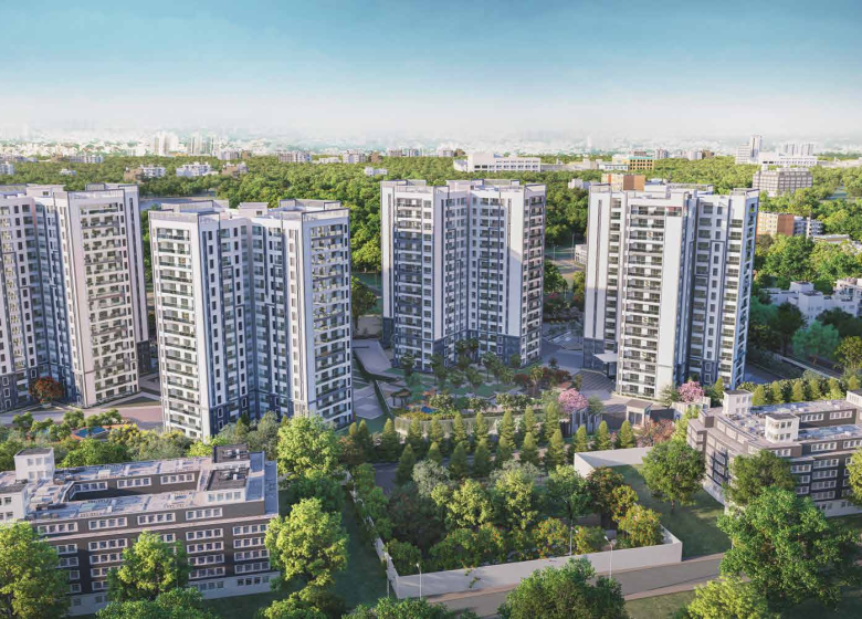 Prestige Pine Forest image